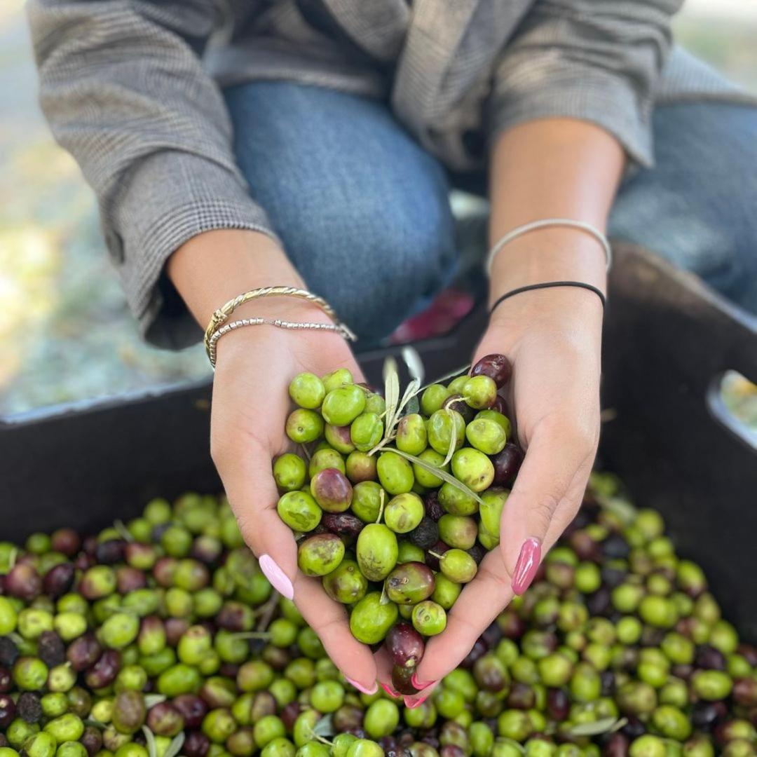 Una Hotels Tenuta Contessa Farm & Spa Cosenza Montalto Uffugo Eksteriør bilde